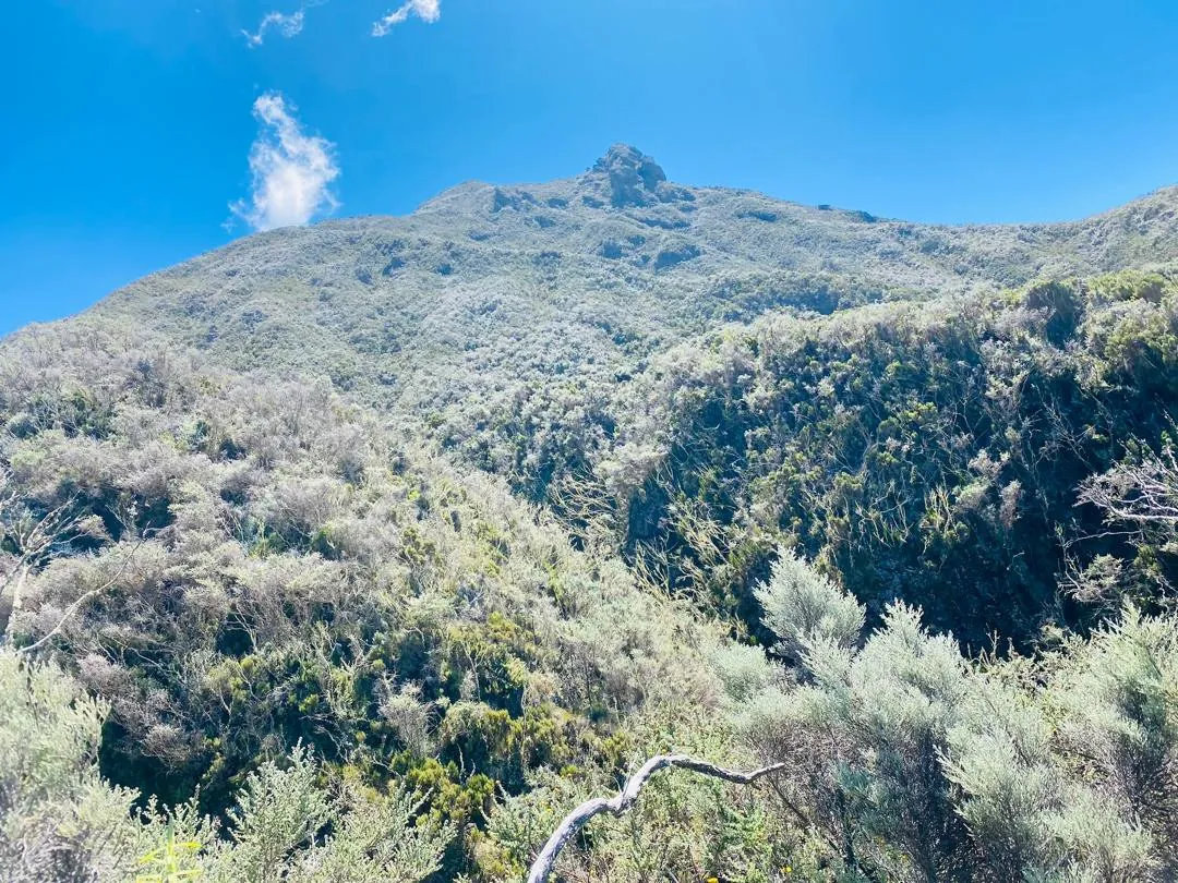 Mount Kilimanjaro trekking landscape